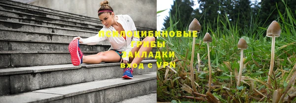 ПСИЛОЦИБИНОВЫЕ ГРИБЫ Сафоново