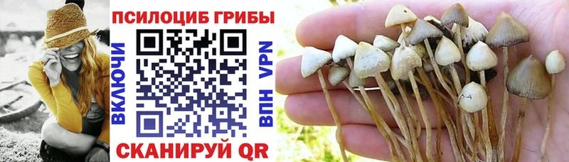 Галлюциногенные грибы Psilocybine cubensis  даркнет сайт  Ужур 